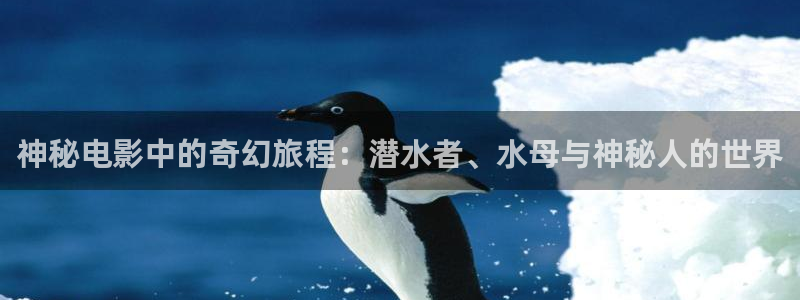 神马影院交换