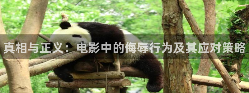 原来的神马影院免费