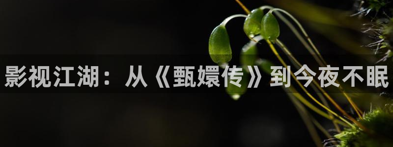 神马影院欧美伦理