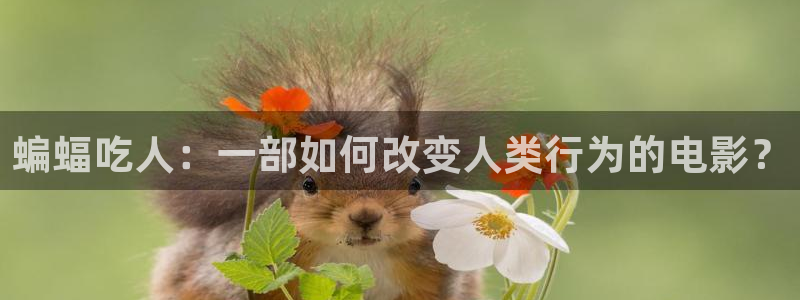 久久影院神马影院：蝙蝠吃人：一部如何改变人类行为的电影？