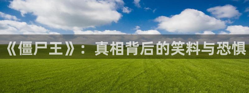 电影神马达达兔