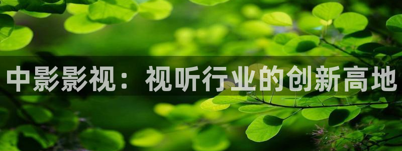 神马午夜电影伦理片