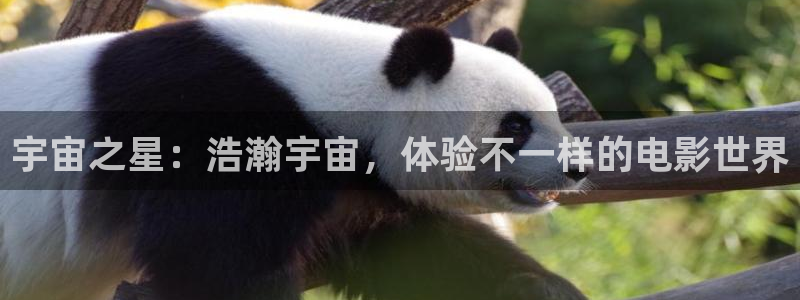 免费观看神马电影