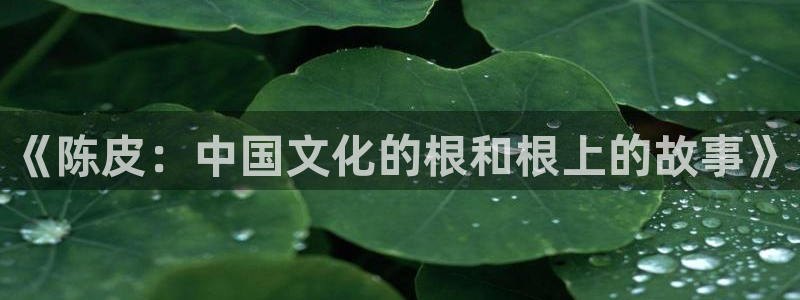 神马久久久影院