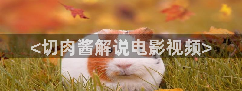神马电影七