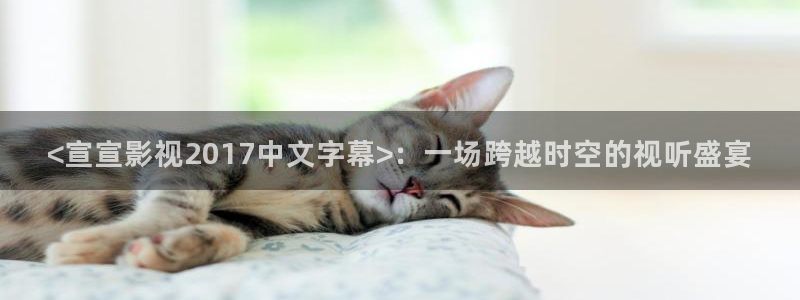 神马电影达达兔在线观看