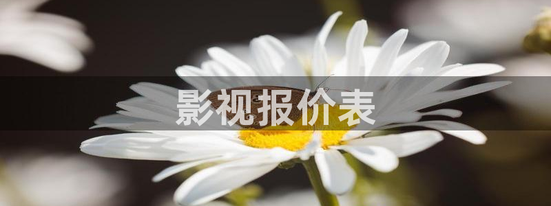 神马看看艺术片