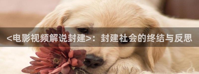 神马福利视频影院
