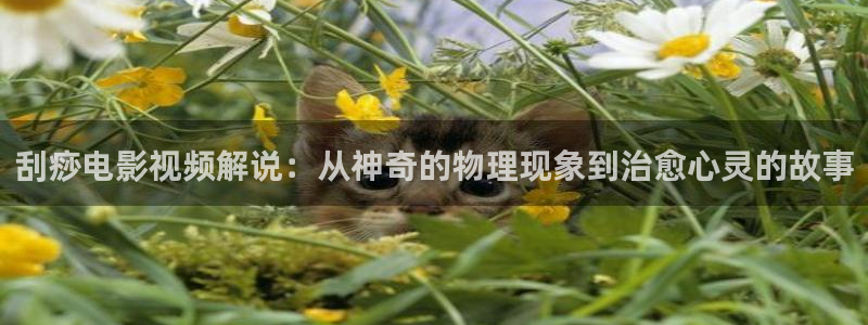 幸福泌尿科神马影院：刮痧电影视频解说：从神奇的物理现象到治愈心灵的故事