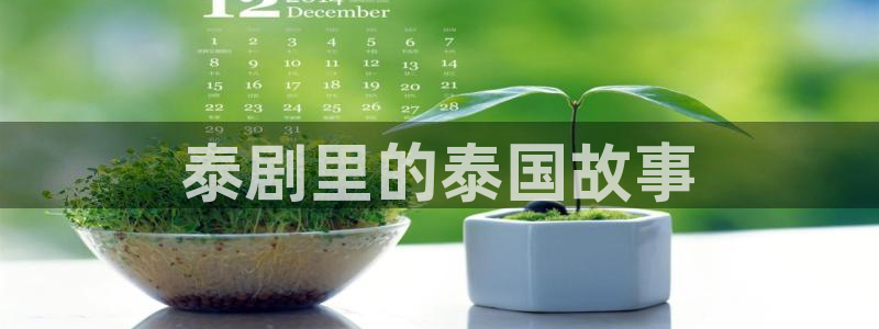 神马电影达达兔伦理片