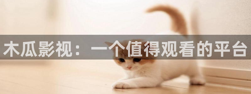 神马影院在线的