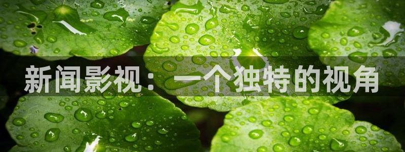 飘花神马影院