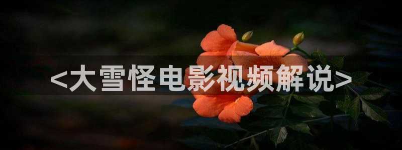 什神马电影院伦理片
