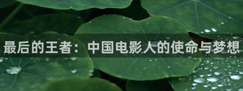 免费神马孕妇伦理影院