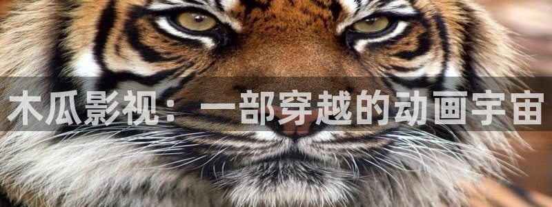神马s影院