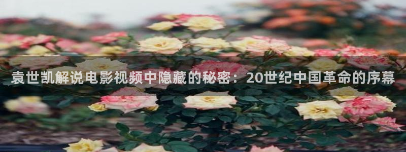 天机神马影院