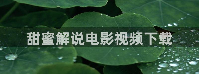 排球少年第三季神马影院