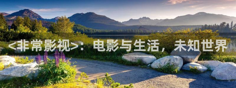 2828神马电影