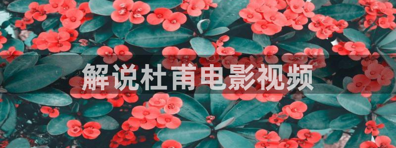 神马电影88