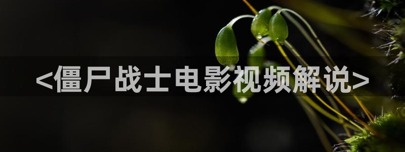 神马午夜通电影