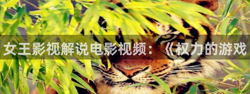 神马影院我不卡 66