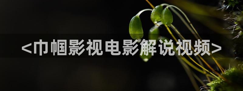 神马未来新视觉