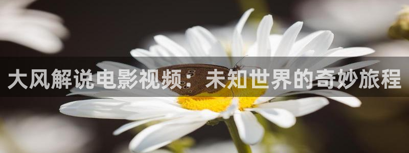 神马影院手机观看电视剧全职高手