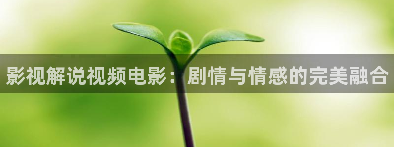 在线观看神马