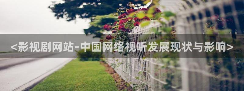 神马影院伦理在线看