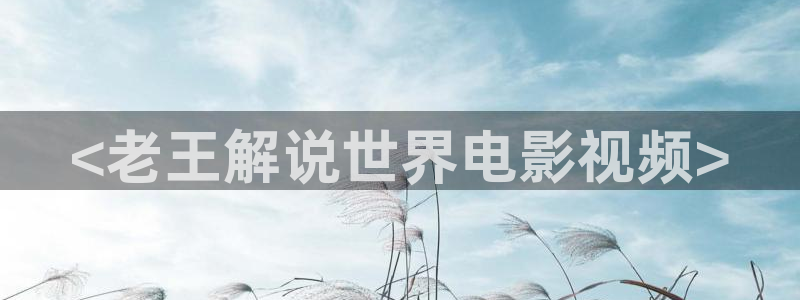 午夜片神马福利