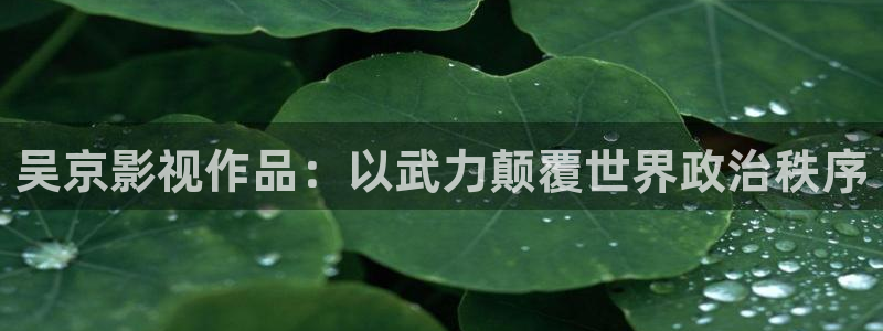 神马影院理论片在线