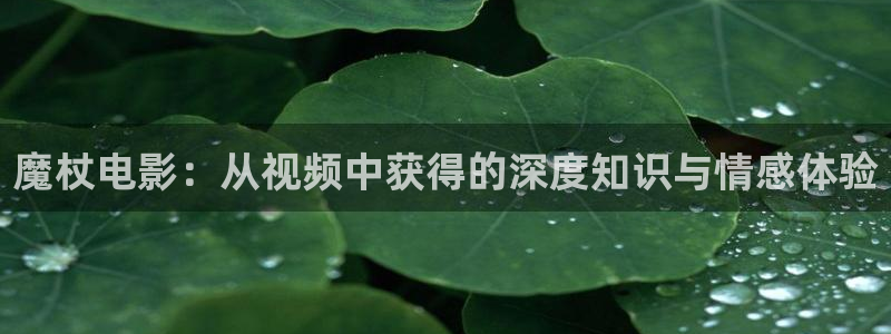 神马影院在线观看三级