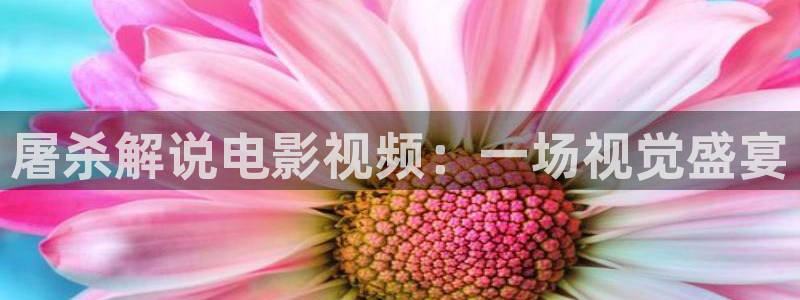 688y午夜神马影院