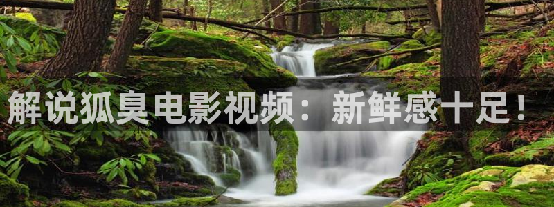 神马影院伦理免费限制