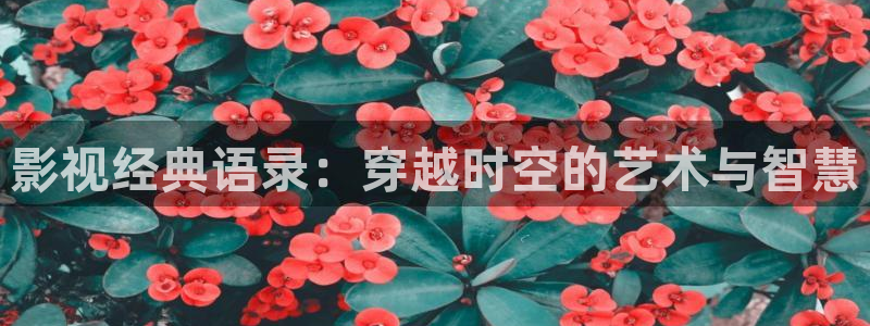 日本伦理神马电影