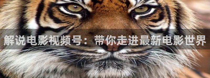 我不卡未来神马影院手机版
