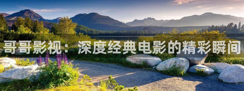 神马影院在线手机影院在线播放版邪杀